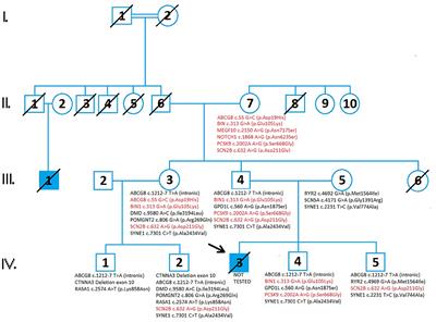 Sudden Cardiac Death—A New Insight Into Potentially Fatal Genetic Markers